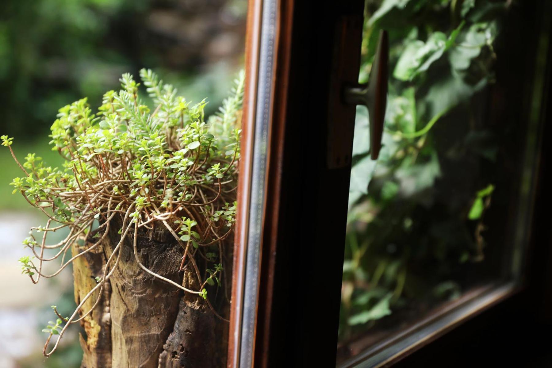 Rustic Hidden Apartment